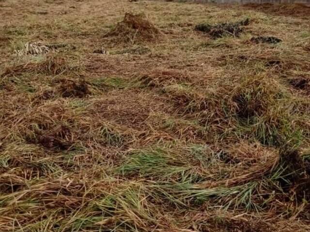 #280 - Terreno para Venda em Pilar do Sul - SP - 2
