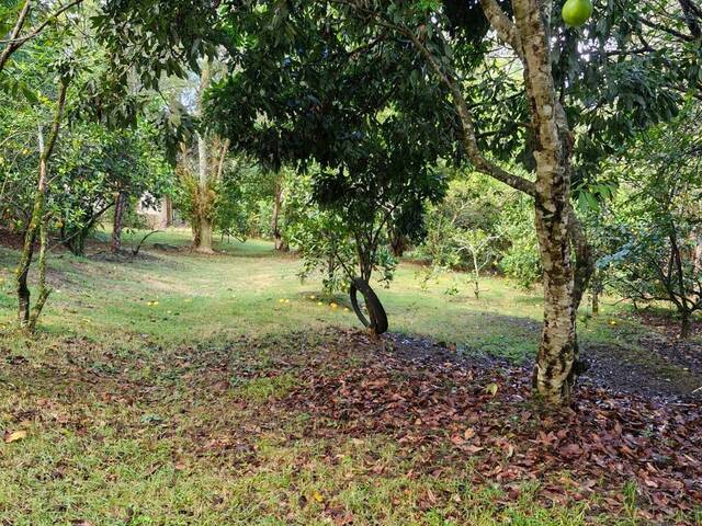 Chácara para Venda em Pilar do Sul - 4