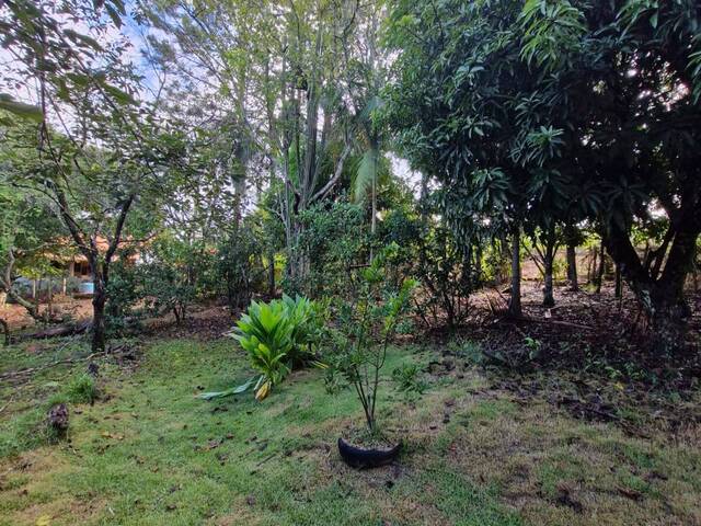 Chácara para Venda em Pilar do Sul - 5