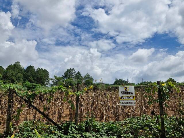 #323 - Terreno para Venda em Pilar do Sul - SP - 1