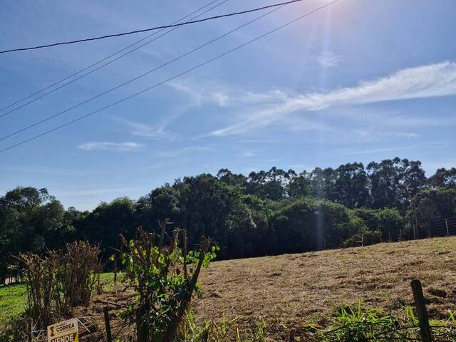 Venda em BAIRRO DO PINHAL - Pilar do Sul