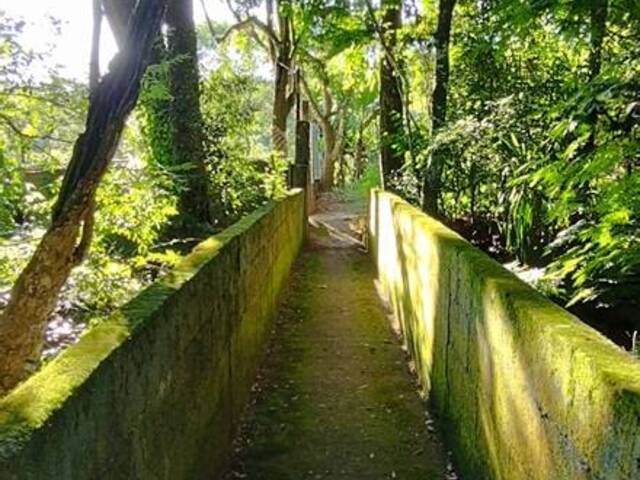#351 - Chácara para Venda em Pilar do Sul - SP - 2