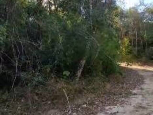 Terreno para Venda em Pilar do Sul - 3