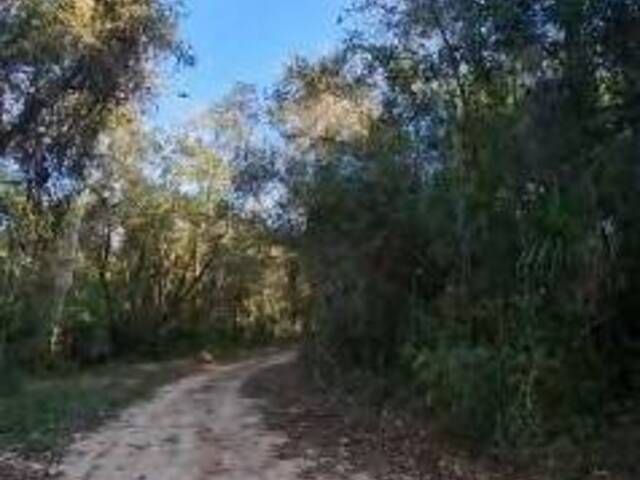 Terreno para Venda em Pilar do Sul - 2