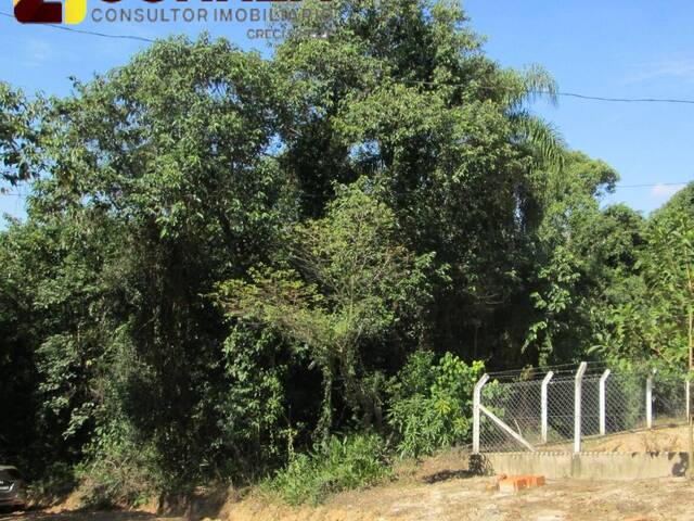 Venda em JARDIM CANANEIA - Pilar do Sul