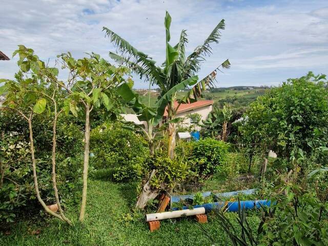 Terreno para Venda em Pilar do Sul - 5